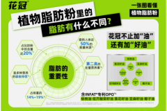 植物脂肪粉报告背后：婴配粉的技术“新变量”